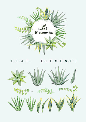 PSD 꽃백그라운드 일러스트 나뭇잎 수채화 선인장 종류 사람없음 다양 다육식물 산세베리아 알로에 엘리먼트 국내일러스트 식물 꽃 다수 백그라운드 잎 파일형식