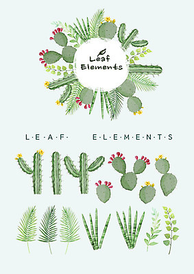 PSD 꽃백그라운드 일러스트 나뭇잎 수채화 선인장 종류 사람없음 다양 선인장꽃 엘리먼트 국내일러스트 식물 꽃 다수 백그라운드 잎 파일형식