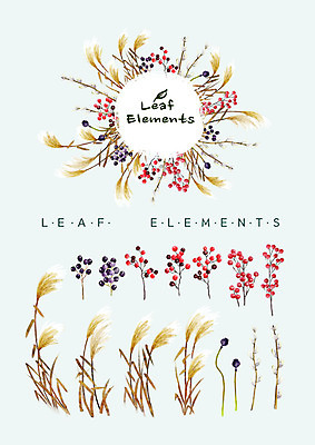 PSD 열매 꽃백그라운드 일러스트 나뭇잎 수채화 종류 갈대 사람없음 다양 가을 엘리먼트 가을배경 국내일러스트 식물 계절 꽃 다수 백그라운드 잎 파일형식 가을_계절