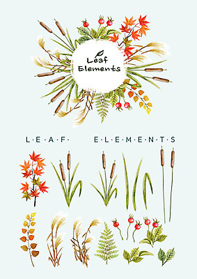 PSD 열매 단풍 꽃백그라운드 일러스트 나뭇잎 수채화 종류 갈대 사람없음 다양 가을 부들 엘리먼트 가을배경 국내일러스트 식물 계절 꽃 다수 백그라운드 잎 파일형식 가을_계절