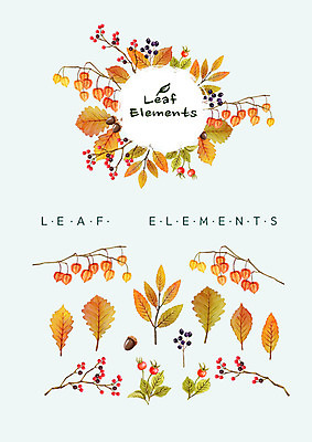 PSD 열매 단풍 꽃백그라운드 일러스트 나뭇잎 수채화 종류 사람없음 다양 엘리먼트 국내일러스트 식물 꽃 다수 백그라운드 잎 파일형식