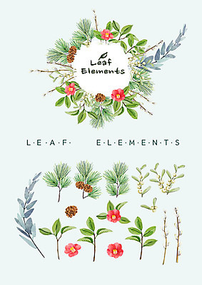 PSD 꽃백그라운드 일러스트 나뭇잎 수채화 종류 사람없음 다양 솔방울 솔잎 동백 엘리먼트 국내일러스트 꽃 다수 백그라운드 잎 파일형식