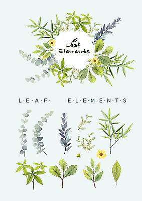 PSD 꽃 꽃백그라운드 일러스트 여름꽃 나뭇잎 수채화 종류 사람없음 다양 엘리먼트 국내일러스트 식물 다수 백그라운드 잎 파일형식 여름_계절