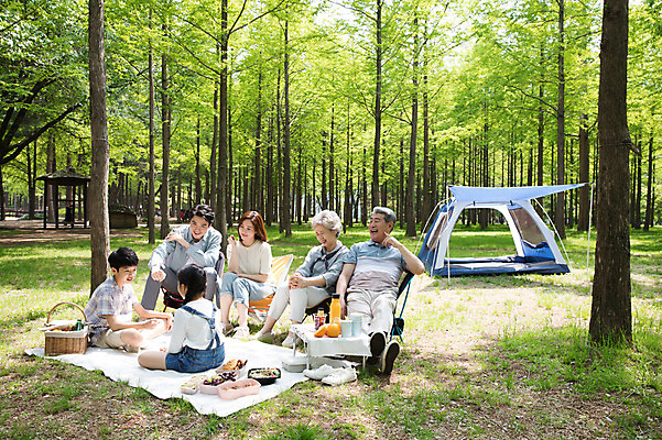 포토 JPG 주간 전신 나무 여자 할아버지 노년 남자 할머니 어린이 40대 가족 자연 놀이 엄마 손자 손녀 대가족 남매 텐트 미소 사람 앉기 잔디 초원 여러명 성인 야외 옆모습 뒷모습 10대 30대 캠핑 한국인 게임 자녀 아빠 60대 숲 즐거움 돗자리 70대 마주앉기 남이섬 소풍바구니 국내포토 자연요소 식물 감정 뷰포인트 섬 중년 다수 관계 모션 청소년 레저 표정 캠핑도구 동양인 장년 바구니 손주 생태계 강원도 파일형식