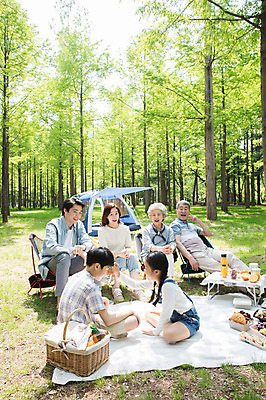 포토 JPG 주간 전신 나무 여자 할아버지 노년 남자 할머니 어린이 40대 가족 자연 놀이 엄마 손자 손녀 대가족 텐트 미소 사람 앉기 초원 여러명 성인 야외 앞모습 옆모습 10대 30대 캠핑 한국인 자녀 아빠 60대 숲 즐거움 돗자리 70대 꿀밤 남이섬 소풍바구니 야외테이블 국내포토 자연요소 식물 감정 뷰포인트 섬 중년 다수 관계 모션 청소년 탁자 레저 표정 캠핑도구 동양인 장년 바구니 체벌 손주 생태계 강원도 파일형식