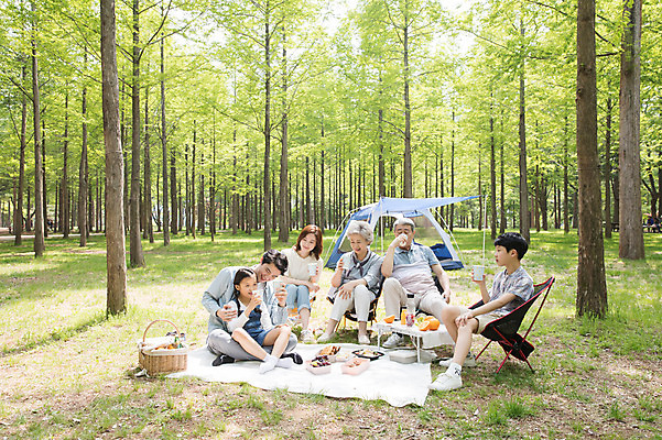 포토 JPG 주간 전신 나무 여자 할아버지 노년 남자 할머니 어린이 40대 가족 자연 엄마 손자 손녀 대가족 텐트 미소 사람 앉기 초원 여러명 성인 야외 앞모습 10대 컵 30대 캠핑 한국인 마시기 자녀 아빠 60대 숲 먹기 즐거움 돗자리 70대 남이섬 소풍바구니 국내포토 자연요소 식물 식기 감정 뷰포인트 섬 중년 다수 관계 모션 청소년 레저 표정 캠핑도구 동양인 장년 바구니 손주 생태계 강원도 파일형식