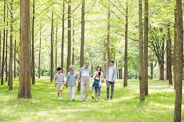 포토 JPG 주간 전신 나무 여자 할아버지 노년 남자 할머니 어린이 40대 가족 자연 엄마 손자 손녀 대가족 미소 웃음 사람 잔디 초원 여러명 성인 야외 앞모습 10대 30대 소풍 걷기 손잡기 캠핑 한국인 자녀 아빠 60대 숲속 즐거움 70대 남이섬 소풍바구니 국내포토 자연요소 식물 감정 뷰포인트 섬 중년 다수 관계 모션 청소년 레저 표정 동양인 장년 야외활동 바구니 숲 손주 생태계 강원도 파일형식