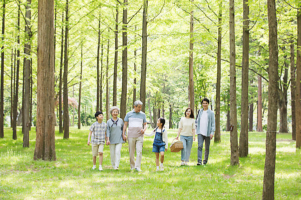 포토 JPG 주간 전신 나무 여자 할아버지 노년 남자 할머니 어린이 40대 가족 자연 엄마 손자 손녀 대가족 미소 사람 잔디 초원 여러명 성인 야외 앞모습 10대 30대 소풍 마주보기 걷기 손잡기 캠핑 한국인 자녀 아빠 60대 숲속 70대 남이섬 소풍바구니 국내포토 자연요소 식물 뷰포인트 섬 중년 다수 관계 모션 청소년 레저 표정 동양인 장년 야외활동 바구니 숲 손주 생태계 강원도 파일형식