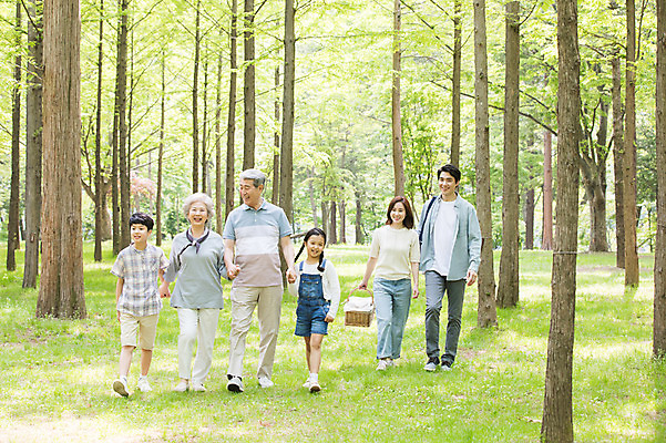 포토 JPG 주간 전신 나무 여자 할아버지 노년 남자 할머니 어린이 40대 가족 자연 엄마 손자 손녀 대가족 미소 사람 초원 여러명 성인 야외 앞모습 10대 30대 소풍 걷기 손잡기 한국인 자녀 아빠 60대 숲속 즐거움 70대 피크닉용품 남이섬 소풍바구니 국내포토 자연요소 식물 감정 뷰포인트 섬 중년 다수 관계 모션 청소년 표정 동양인 장년 야외활동 바구니 숲 손주 생태계 강원도 파일형식