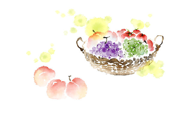 PSD 열매 토마토 과일 일러스트 캘리그라피 포도 붓터치 사람없음 여름 바구니 청포도 번짐 복숭아 과일바구니 제철과일 국내일러스트 식물 계절 채소 제철 파일형식 효과