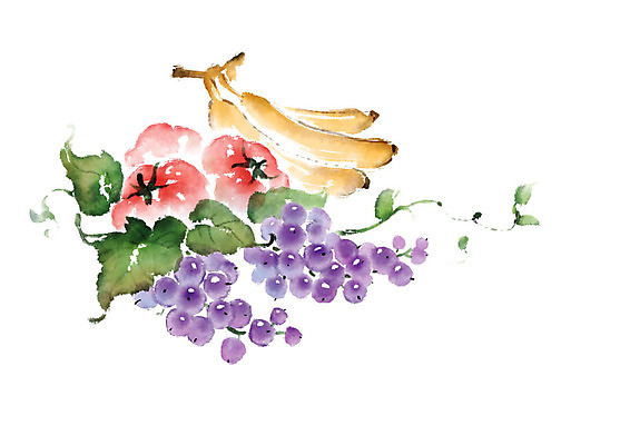 PSD 열매 토마토 과일 일러스트 캘리그라피 포도 붓터치 바나나 사람없음 여름 덩굴 번짐 국내일러스트 식물 계절 채소 파일형식 효과