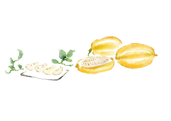 PSD 접시 열매 과일 일러스트 캘리그라피 붓터치 사람없음 여름 슬라이스 번짐 참외 과채 국내일러스트 식물 식기 계절 채소 파일형식 효과