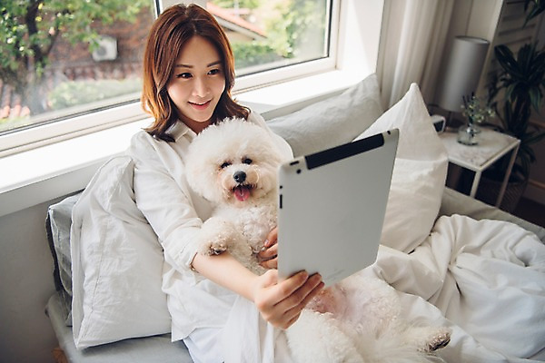 포토 JPG 주간 한마리 응시 여자 반려견 창문 베개 안기 아침 휴식 한명 미소 들기 사람 앉기 상반신 20대 성인 앞모습 반려동물 태블릿 다정 침실 이불 한국인 침대 개 반려 성인여자한명만 비숑프리제 펫팸족 국내포토 자연요소 동물 1 시선 뷰포인트 가구 컨셉 포유류 침구 모션 표정 동양인 청년 전자제품 스마트기기 신조어 여자한명만 성인여자만 파일형식 생활용품 인종 여자만 성인만 유행어 유행 오브젝트
