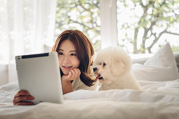 포토 JPG 주간 나무 한마리 응시 여자 반려견 엎드리기 창문 아침 휴식 한명 미소 들기 사람 상반신 20대 성인 앞모습 반려동물 태블릿 턱괴기 다정 침실 한국인 침대 개 반려 성인여자한명만 비숑프리제 펫팸족 국내포토 자연요소 식물 동물 1 시선 뷰포인트 가구 컨셉 포유류 모션 표정 동양인 청년 전자제품 스마트기기 신조어 여자한명만 성인여자만 파일형식 생활용품 인종 여자만 성인만 유행어 유행 오브젝트
