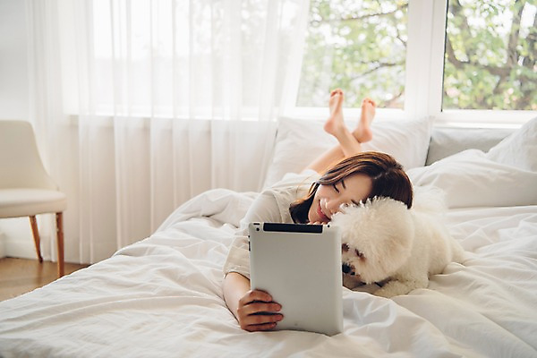 포토 JPG 주간 전신 나무 한마리 응시 여자 반려견 엎드리기 창문 아침 휴식 한명 미소 들기 사람 20대 성인 앞모습 반려동물 태블릿 기댐 다정 침실 한국인 침대 커튼 개 반려 성인여자한명만 비숑프리제 펫팸족 국내포토 자연요소 식물 동물 1 시선 뷰포인트 가구 컨셉 포유류 모션 표정 동양인 청년 전자제품 스마트기기 신조어 여자한명만 성인여자만 파일형식