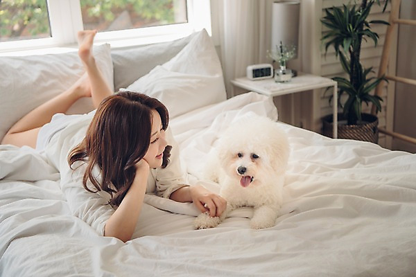 포토 JPG 전신 한마리 응시 여자 화분 반려견 엎드리기 시계 창문 탁자 아침 휴식 한명 미소 사람 20대 성인 앞모습 반려동물 다정 침실 한국인 침대 잡기 개 반려 앞발 성인여자한명만 비숑프리제 펫팸족 국내포토 주간 동물 1 시선 뷰포인트 가구 컨셉 포유류 모션 표정 동양인 청년 신조어 여자한명만 성인여자만 파일형식
