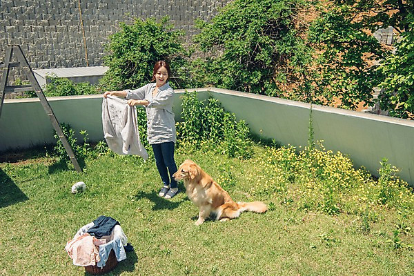 포토 JPG 주간 전신 한마리 여자 난간 한명 미소 사람 잔디 20대 성인 야외 옆모습 반려동물 들꽃 한국인 골든리트리버 강아지 옥상 반려 빨래널기 빨래바구니 빨랫감 성인여자한명만 펫팸족 국내포토 자연요소 식물 동물 1 꽃 뷰포인트 표정 동양인 청년 바구니 개 리트리버 빨래 신조어 여자한명만 성인여자만 파일형식