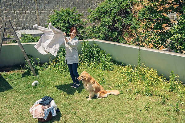 포토 JPG 주간 전신 한마리 여자 한명 미소 사람 잔디 20대 성인 야외 옆모습 반려동물 들꽃 한국인 골든리트리버 강아지 옥상 반려 빨래널기 빨래바구니 빨랫감 성인여자한명만 펫팸족 국내포토 자연요소 식물 동물 1 꽃 뷰포인트 표정 동양인 청년 바구니 개 리트리버 빨래 신조어 여자한명만 성인여자만 파일형식