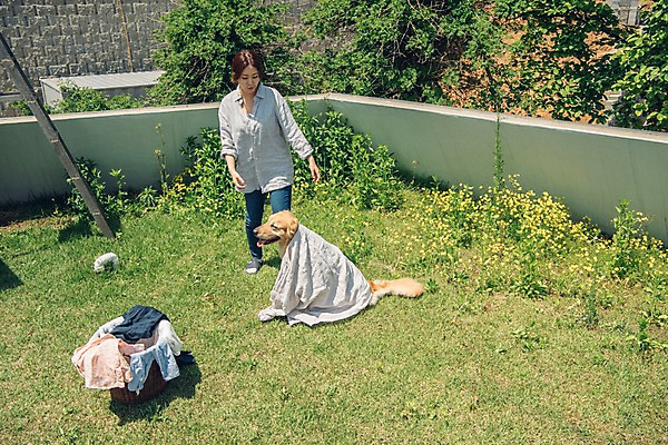 포토 JPG 주간 전신 한마리 여자 한명 사람 잔디 20대 성인 야외 앞모습 반려동물 들꽃 한국인 골든리트리버 강아지 옥상 뒤집어쓰기 반려 빨래널기 빨래바구니 빨랫감 성인여자한명만 펫팸족 국내포토 자연요소 식물 동물 1 꽃 뷰포인트 동양인 청년 바구니 개 리트리버 빨래 신조어 여자한명만 성인여자만 파일형식