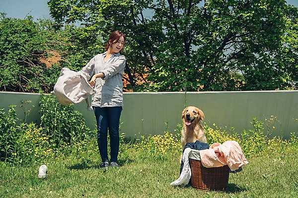 포토 JPG 주간 전신 한마리 여자 한명 사람 잔디 20대 성인 야외 앞모습 반려동물 들꽃 한국인 골든리트리버 강아지 옥상 반려 빨래널기 빨래바구니 빨랫감 성인여자한명만 펫팸족 국내포토 자연요소 식물 동물 1 꽃 뷰포인트 동양인 청년 바구니 개 리트리버 빨래 신조어 여자한명만 성인여자만 파일형식 가사 포유류 인종 여자만 성인만 유행어 유행