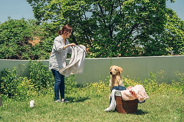 포토 JPG 주간 전신 한마리 여자 한명 미소 사람 잔디 20대 성인 야외 옆모습 반려동물 들꽃 한국인 골든리트리버 강아지 옥상 반려 빨래널기 빨래바구니 빨랫감 성인여자한명만 펫팸족 국내포토 자연요소 식물 동물 1 꽃 뷰포인트 표정 동양인 청년 바구니 개 리트리버 빨래 신조어 여자한명만 성인여자만 파일형식