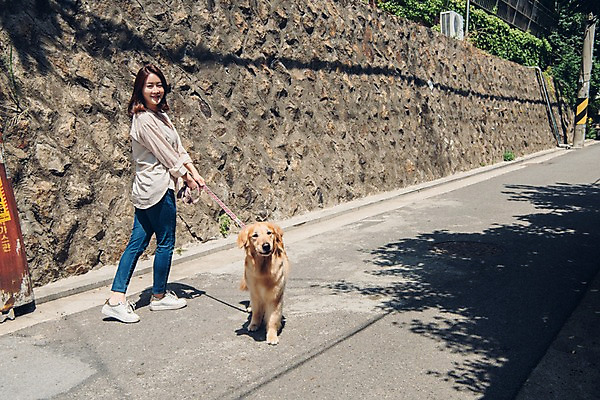 포토 JPG 주간 전신 한마리 여자 한명 미소 사람 20대 성인 야외 뒷모습 반려동물 산책 한국인 잡기 뒤돌아보기 골든리트리버 강아지 전봇대 목줄 반려 성인여자한명만 펫팸족 국내포토 자연요소 동물 1 공공시설 뷰포인트 모션 휴식 표정 동양인 청년 개 리트리버 신조어 여자한명만 성인여자만 파일형식 반려용품