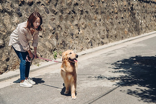 포토 JPG 주간 전신 한마리 여자 허리숙이기 한명 사람 20대 성인 야외 옆모습 반려동물 한국인 잡기 골든리트리버 강아지 목줄 반려 성인여자한명만 펫팸족 국내포토 자연요소 동물 1 뷰포인트 모션 숙이기 동양인 청년 개 리트리버 신조어 여자한명만 성인여자만 파일형식 반려용품