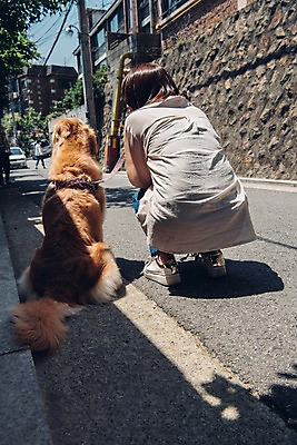 포토 JPG 주간 전신 한마리 여자 한명 사람 앉기 20대 성인 야외 뒷모습 반려동물 한국인 잡기 골든리트리버 강아지 전봇대 목줄 웅크림 반려 성인여자한명만 펫팸족 국내포토 자연요소 동물 1 공공시설 뷰포인트 모션 동양인 청년 개 리트리버 신조어 여자한명만 성인여자만 파일형식 반려용품