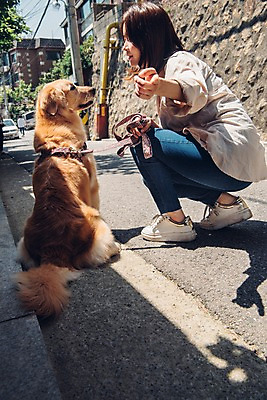 포토 JPG 주간 전신 한마리 여자 한명 사람 앉기 20대 성인 야외 옆모습 반려동물 마주보기 한국인 가리킴 잡기 골든리트리버 강아지 목줄 웅크림 반려 성인여자한명만 펫팸족 국내포토 자연요소 동물 1 뷰포인트 모션 동양인 손짓 청년 개 리트리버 신조어 여자한명만 성인여자만 파일형식 반려용품