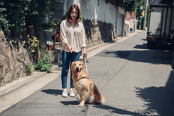 포토 JPG 주간 전신 한마리 여자 한명 서기 사람 20대 성인 야외 앞모습 반려동물 산책 한국인 잡기 골든리트리버 강아지 목줄 반려 성인여자한명만 펫팸족 국내포토 자연요소 동물 1 뷰포인트 모션 휴식 동양인 청년 개 리트리버 신조어 여자한명만 성인여자만 파일형식 반려용품