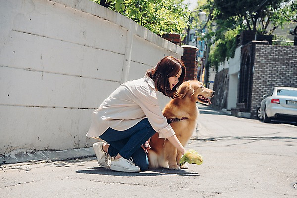 포토 JPG 주간 전신 한마리 여자 자동차 봉투 주택 한명 사람 앉기 20대 성인 야외 옆모습 반려동물 산책 한국인 골든리트리버 강아지 웅크림 반려 성인여자한명만 펫팸족 국내포토 자연요소 동물 1 육상교통 뷰포인트 모션 휴식 동양인 청년 건물 개 리트리버 신조어 여자한명만 성인여자만 파일형식