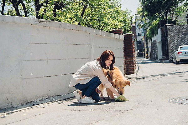포토 JPG 주간 전신 한마리 여자 자동차 봉투 주택 한명 사람 앉기 20대 성인 야외 옆모습 반려동물 산책 한국인 골든리트리버 강아지 웅크림 반려 성인여자한명만 펫팸족 국내포토 자연요소 동물 1 육상교통 뷰포인트 모션 휴식 동양인 청년 건물 개 리트리버 신조어 여자한명만 성인여자만 파일형식