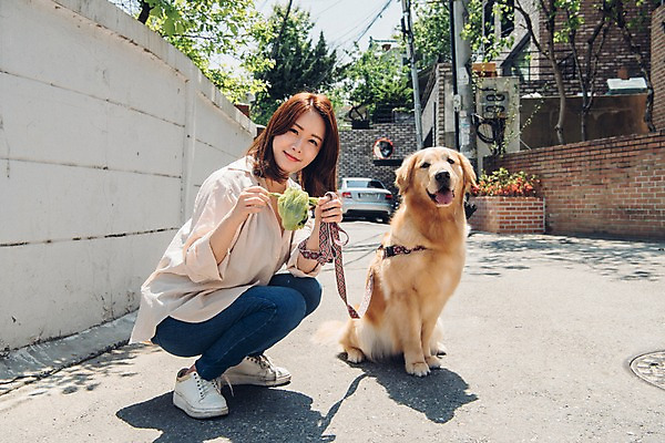 포토 JPG 주간 전신 한마리 여자 자동차 한명 미소 사람 앉기 20대 성인 야외 옆모습 반려동물 산책 한국인 잡기 골든리트리버 강아지 목줄 웅크림 반려 성인여자한명만 펫팸족 국내포토 자연요소 동물 1 육상교통 뷰포인트 모션 휴식 표정 동양인 청년 개 리트리버 신조어 여자한명만 성인여자만 파일형식 반려용품