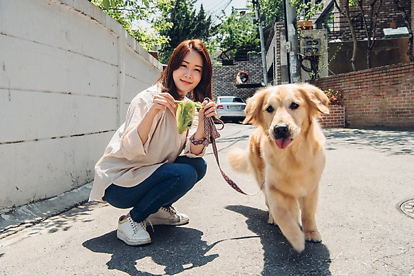 포토 JPG 주간 전신 한마리 여자 자동차 주택 한명 미소 사람 앉기 20대 성인 야외 옆모습 반려동물 산책 한국인 잡기 골든리트리버 강아지 목줄 웅크림 반려 성인여자한명만 펫팸족 국내포토 자연요소 동물 1 육상교통 뷰포인트 모션 휴식 표정 동양인 청년 건물 개 리트리버 신조어 여자한명만 성인여자만 파일형식 반려용품