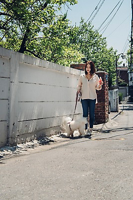 포토 JPG 주간 전신 한마리 여자 아이스크림 한명 사람 20대 성인 야외 앞모습 반려동물 산책 한국인 잡기 강아지 목줄 반려 성인여자한명만 비숑프리제 펫팸족 국내포토 자연요소 동물 1 뷰포인트 모션 휴식 디저트 동양인 청년 개 신조어 여자한명만 성인여자만 파일형식 반려용품