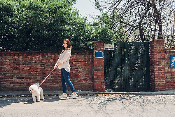 포토 JPG 주간 전신 한마리 여자 한명 미소 사람 20대 성인 야외 옆모습 반려동물 산책 한국인 잡기 강아지 현관문 목줄 반려 성인여자한명만 비숑프리제 펫팸족 국내포토 자연요소 동물 1 뷰포인트 모션 휴식 표정 동양인 청년 문 개 신조어 여자한명만 성인여자만 파일형식 반려용품