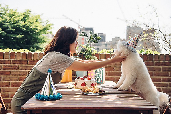 포토 JPG 주간 한마리 여자 사랑 한명 미소 사람 상반신 20대 성인 야외 옆모습 반려동물 만지기 한국인 생일파티 강아지 생일케이크 즐거움 반려 생일상 성인여자한명만 비숑프리제 펫팸족 국내포토 자연요소 동물 1 감정 뷰포인트 모션 표정 동양인 청년 케이크 생일 개 신조어 여자한명만 성인여자만 파일형식