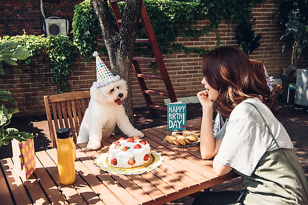 포토 JPG 주간 한마리 여자 한명 미소 사람 상반신 20대 성인 야외 옆모습 반려동물 쿠키 한국인 생일파티 강아지 생일케이크 반려 생일상 성인여자한명만 비숑프리제 펫팸족 국내포토 자연요소 동물 1 뷰포인트 디저트 표정 동양인 청년 케이크 생일 개 신조어 여자한명만 성인여자만 파일형식