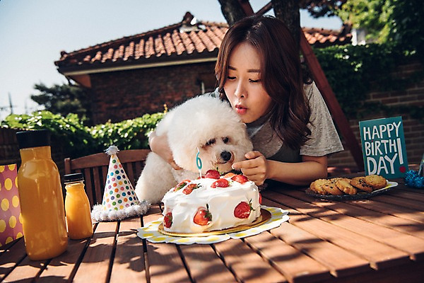 포토 JPG 주간 한마리 여자 안기 한명 사람 상반신 20대 성인 야외 앞모습 반려동물 쿠키 한국인 생일파티 강아지 반려 생일상 성인여자한명만 비숑프리제 바람불기 펫팸족 국내포토 자연요소 동물 1 뷰포인트 모션 디저트 동양인 청년 생일 개 불기 신조어 여자한명만 성인여자만 파일형식