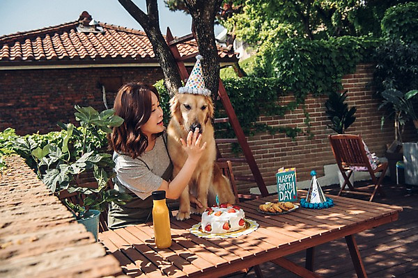 포토 JPG 주간 한마리 여자 장난 한명 사람 상반신 20대 성인 야외 앞모습 반려동물 쿠키 한국인 생일파티 골든리트리버 강아지 생일케이크 생크림 반려 생일상 성인여자한명만 펫팸족 국내포토 자연요소 동물 1 뷰포인트 디저트 동양인 청년 케이크 생일 개 리트리버 크림 신조어 여자한명만 성인여자만 파일형식