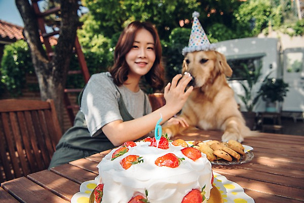 포토 JPG 주간 한마리 여자 장난 한명 미소 사람 상반신 20대 성인 야외 앞모습 반려동물 쿠키 한국인 생일파티 골든리트리버 강아지 생일케이크 생크림 캠핑카 반려 성인여자한명만 펫팸족 국내포토 자연요소 동물 1 뷰포인트 자동차 디저트 표정 동양인 청년 케이크 생일 개 리트리버 크림 신조어 여자한명만 성인여자만 파일형식