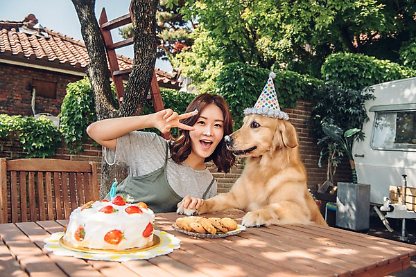 포토 JPG 주간 한마리 여자 한명 미소 사람 앉기 상반신 20대 성인 야외 앞모습 반려동물 쿠키 한국인 생일파티 골든리트리버 강아지 생일케이크 즐거움 브이 캠핑카 반려 생일상 성인여자한명만 펫팸족 국내포토 자연요소 동물 1 감정 뷰포인트 모션 자동차 디저트 표정 동양인 손짓 청년 케이크 생일 개 리트리버 신조어 여자한명만 성인여자만 파일형식