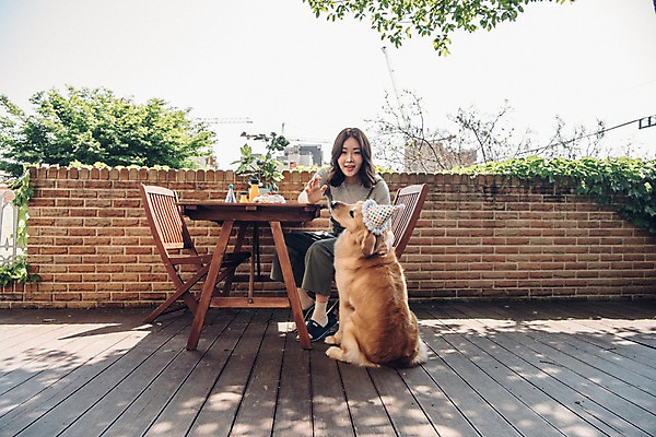 포토 JPG 주간 전신 한마리 여자 한명 사람 앉기 손짓 20대 성인 야외 앞모습 반려동물 한국인 생일파티 골든리트리버 강아지 반려 성인여자한명만 펫팸족 국내포토 자연요소 동물 1 뷰포인트 모션 동양인 청년 생일 개 리트리버 신조어 여자한명만 성인여자만 파일형식