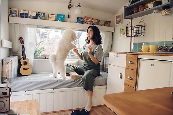 포토 JPG 전신 한마리 응시 여자 반려견 휴식 전등 선반 한명 서기 사람 앉기 20대 성인 옆모습 책 반려동물 마주보기 다정 캠핑 한국인 기타 침대 잡기 개 캠핑카 반려 앞발 성인여자한명만 비숑프리제 펫팸족 국내포토 동물 1 시선 뷰포인트 가구 컨셉 포유류 모션 자동차 현악기 레저 조명 동양인 청년 신조어 여자한명만 성인여자만 파일형식