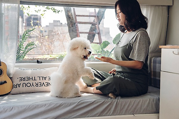 포토 JPG 주간 전신 한마리 여자 실내 한명 사람 앉기 20대 성인 옆모습 반려동물 캠핑 한국인 기타 침대 강아지 손내밀기 창가 마주앉기 캠핑카 반려 성인여자한명만 비숑프리제 펫팸족 국내포토 자연요소 동물 1 뷰포인트 가구 창문 모션 자동차 현악기 레저 동양인 손짓 청년 내부 개 신조어 여자한명만 성인여자만 파일형식