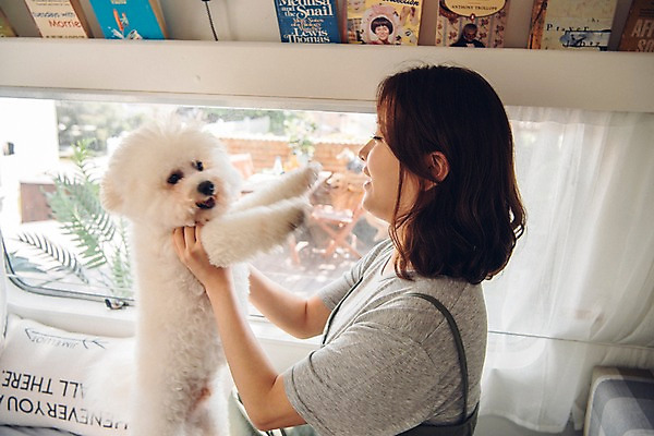 포토 JPG 한마리 여자 반려견 안기 휴식 선반 한명 미소 사람 상반신 20대 성인 옆모습 책 반려동물 마주보기 다정 캠핑 한국인 개 창가 캠핑카 반려 성인여자한명만 비숑프리제 펫팸족 국내포토 동물 1 뷰포인트 가구 컨셉 창문 포유류 모션 자동차 레저 표정 동양인 청년 신조어 여자한명만 성인여자만 파일형식