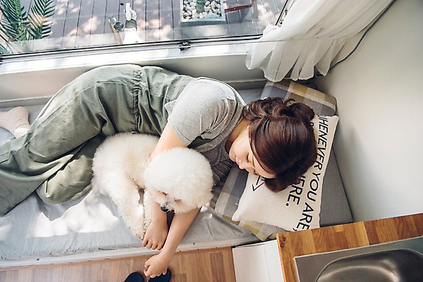 포토 JPG 전신 한마리 여자 반려견 안기 휴식 한명 사람 20대 성인 옆모습 반려동물 눕기 다정 캠핑 한국인 잠 개 창가 캠핑카 반려 성인여자한명만 비숑프리제 펫팸족 국내포토 동물 1 뷰포인트 컨셉 창문 포유류 모션 자동차 레저 동양인 청년 신조어 여자한명만 성인여자만 파일형식