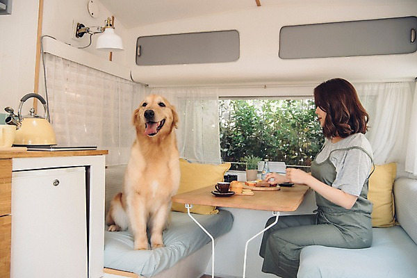 포토 JPG 주간 한마리 여자 실내 한명 사람 앉기 상반신 20대 성인 옆모습 반려동물 캠핑 한국인 골든리트리버 강아지 캠핑카 반려 성인여자한명만 펫팸족 국내포토 자연요소 동물 1 뷰포인트 모션 자동차 레저 동양인 청년 내부 개 리트리버 신조어 여자한명만 성인여자만 파일형식