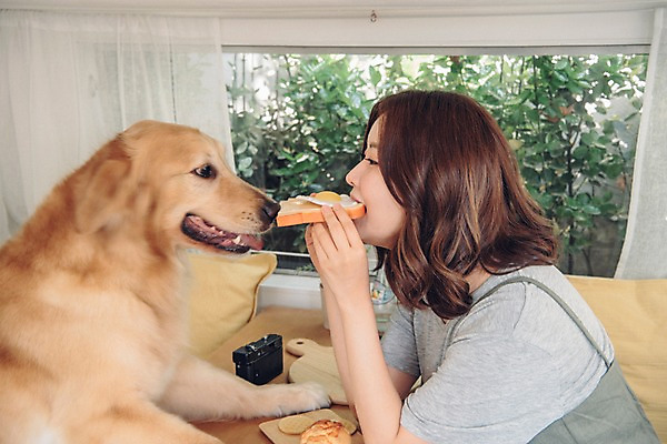 포토 JPG 주간 한마리 여자 실내 한명 사람 상반신 20대 성인 옆모습 반려동물 캠핑 한국인 골든리트리버 강아지 먹기 토스트 마주앉기 캠핑카 반려 성인여자한명만 펫팸족 국내포토 자연요소 동물 1 빵 뷰포인트 모션 자동차 레저 앉기 동양인 청년 내부 개 리트리버 신조어 여자한명만 성인여자만 파일형식