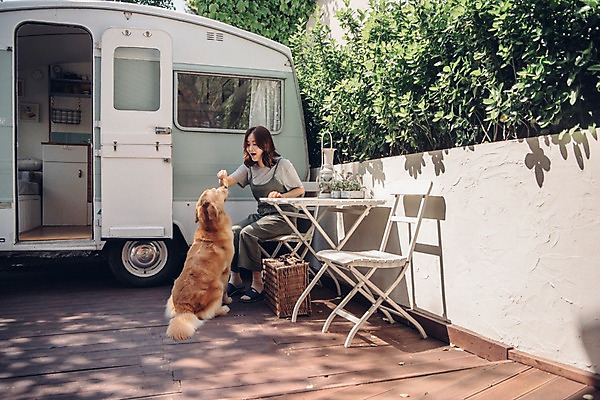 포토 JPG 주간 전신 한마리 여자 장난 놀이 한명 사람 앉기 20대 성인 야외 옆모습 반려동물 마주보기 캠핑 한국인 골든리트리버 강아지 캠핑카 반려 소풍바구니 성인여자한명만 펫팸족 국내포토 자연요소 동물 1 뷰포인트 모션 자동차 레저 동양인 청년 바구니 개 리트리버 신조어 여자한명만 성인여자만 파일형식